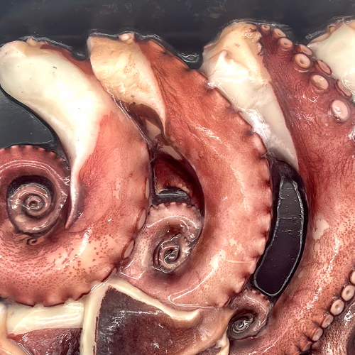 국내산 참문어 자숙 통다리 1kg (자숙 후 600g 내외)