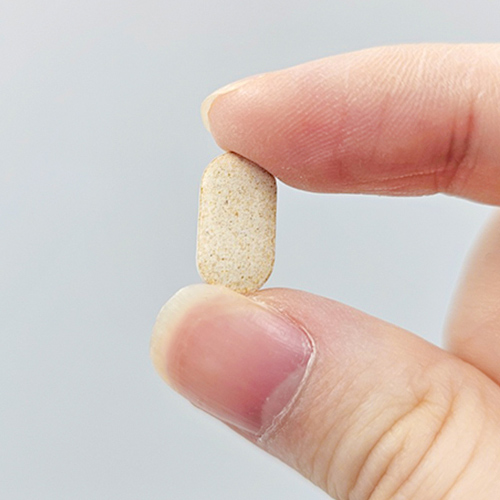 콘드로이친 우슬 플러스정 500mg x 60정(30g)