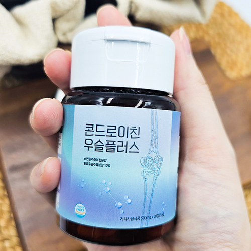 콘드로이친 우슬 플러스정 500mg x 60정(30g)