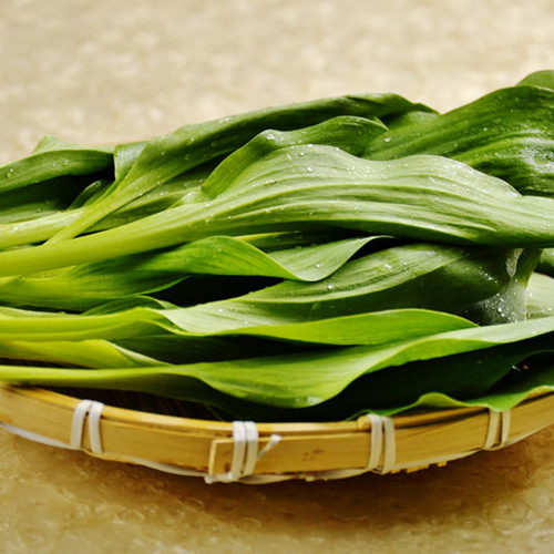 100% 국내산 울렁도 특산물 명이나물 절임 300g 1kg