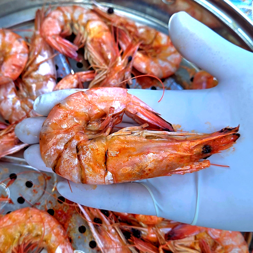 국내산 자연산 대하 대사이즈 500g (11마리 내외)