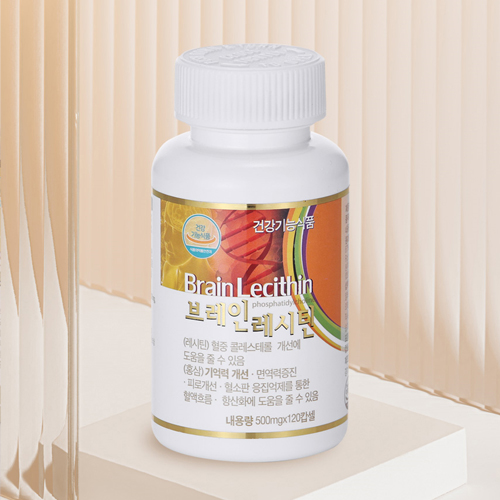 브레인 레시틴 500mg x 120캡슐 (1개월분)