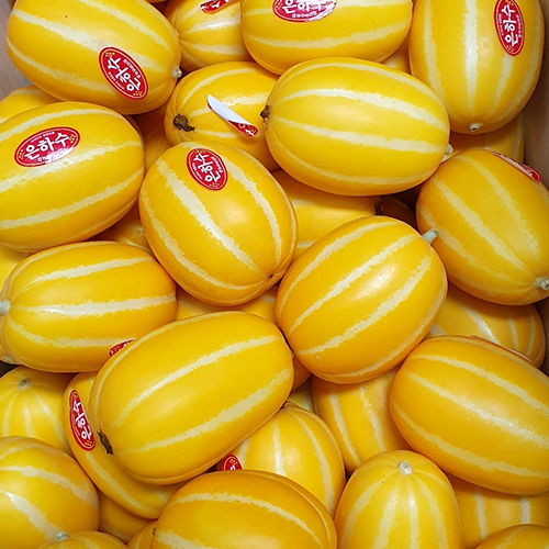 프리미엄 고당도 성주 꿀 참외 