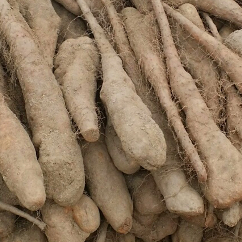 국내산 안동 산마 1kg