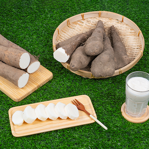 국내산 안동 산마 1kg