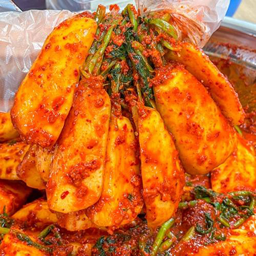 국내산 여수돌산 총각김치 2kg