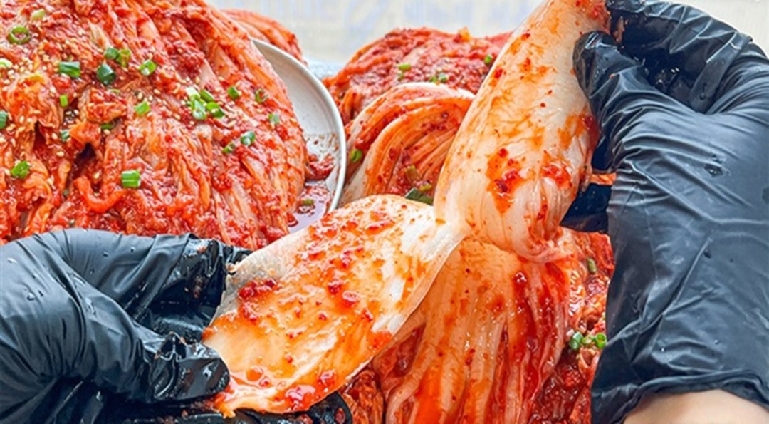국내산 배추 엄마의 손맛 시원하고 아삭한 충청도 포기김치 10kg