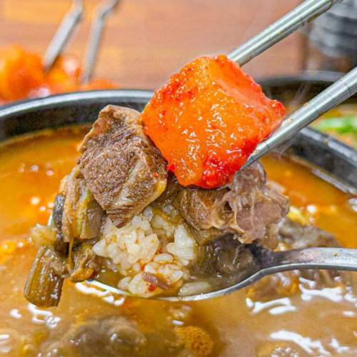 [바른] 푸짐한 사골 육개장/곱창육개장/소고기보신탕/닭개장 3팩