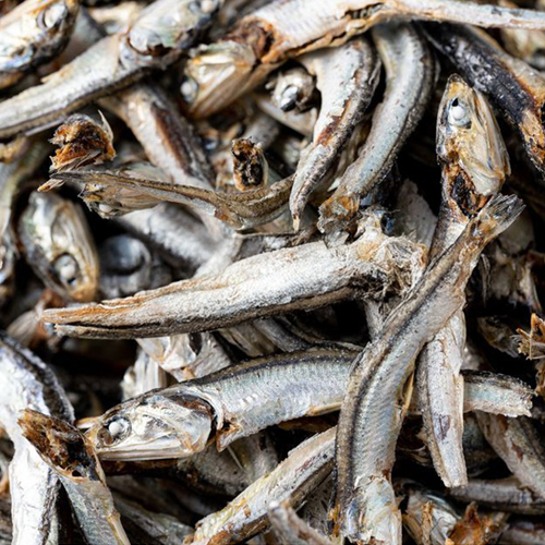 품질좋은 국내산 햇 멸치 (다시멸치,조림용,볶음용) 500g 